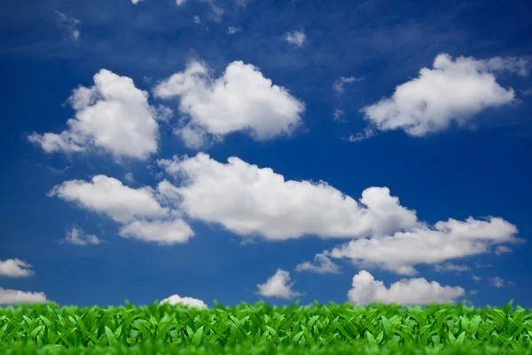 Green grass over a blue sky background — Stock Photo, Image