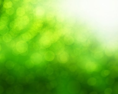 Doğal yeşil arkaplan