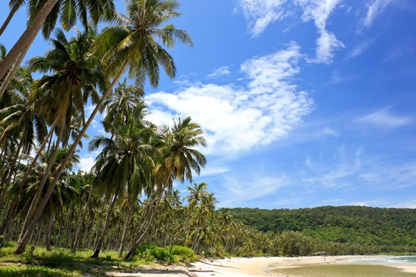 stock image Beautiful tropical beach and sky