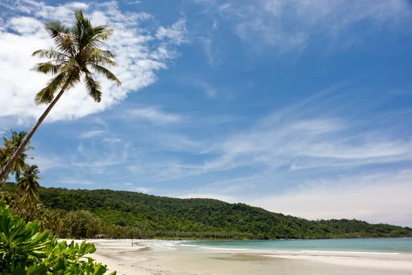 Vackra tropiska stranden och sky Royaltyfria Stockfoton