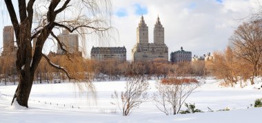 New York City Manhattan Central Park in winter clipart