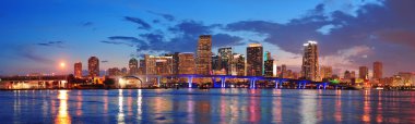 Miami night scene clipart