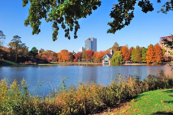 Nowojorski central park jesienią — Zdjęcie stockowe