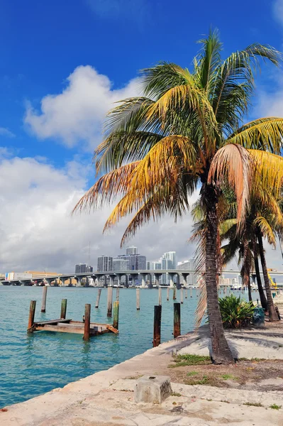 Miami ciudad vista tropical — Foto de Stock
