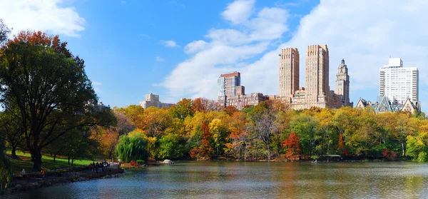 New York'un manhattan central park panorama — Stok fotoğraf