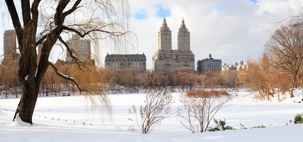 New York City Manhattan Central Park no inverno — Fotografia de Stock