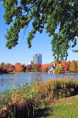 New York'taki central park sonbahar