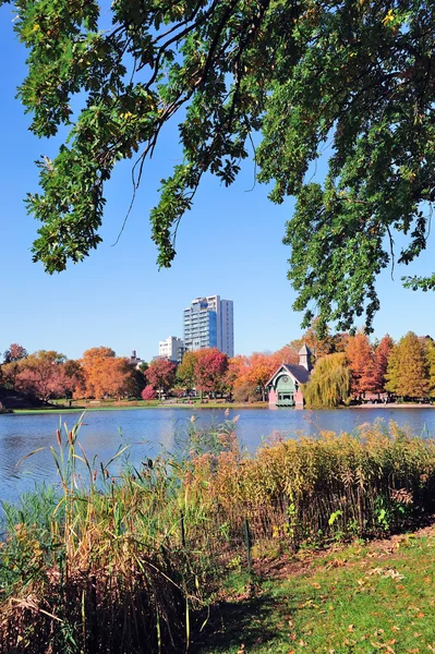 New York City Central Park Autumn — Stock Photo, Image