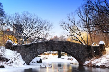 New York City Central Park bridge in winter clipart