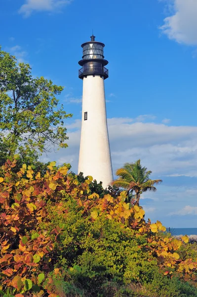 Cape florida lighthouse miami ışık — Stok fotoğraf