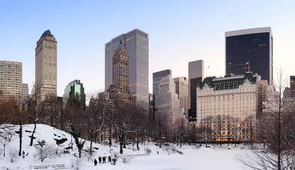Панорама Центрального парка Манхэттена в Нью-Йорке — стоковое фото