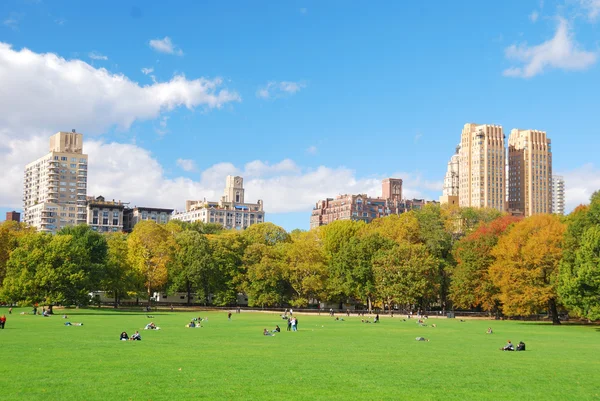 New York City Manhattan Central Park skyline Stock Image