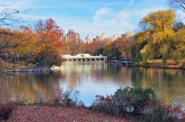 New York'taki central Park'ta sonbahar