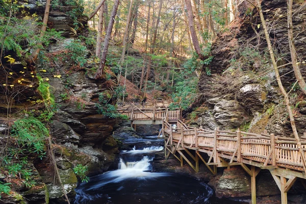 stock image Autumn creek with hiking trails and foliage