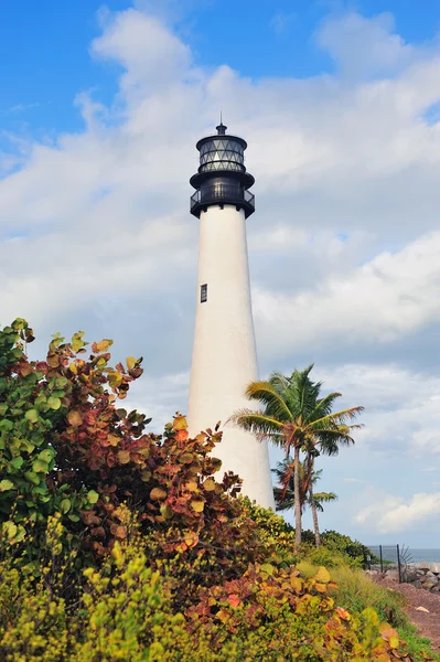 Cape florida lighthouse miami ışık — Stok fotoğraf