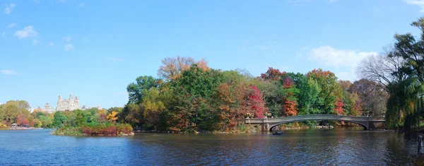 Панорама Центрального парка Нью-Йорка — стоковое фото