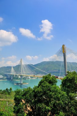 Bridge in Hong Kong clipart