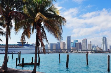 Miami city tropical view clipart