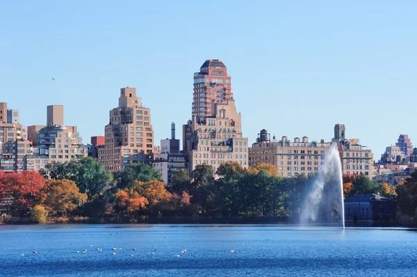 纽约市曼哈顿中央公园 — 图库照片