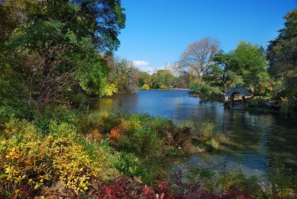 New York Şehri Central Park