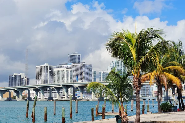 Miami città vista tropicale — Foto Stock