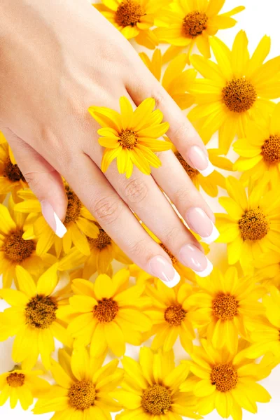Fingernails and flowers — Stock Photo, Image