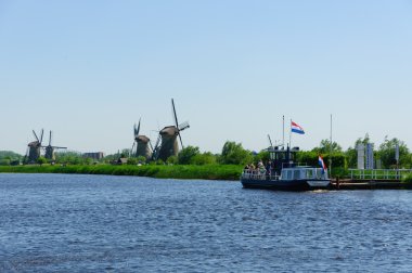 Değirmen Ağ, doğal-elshout, Hollanda