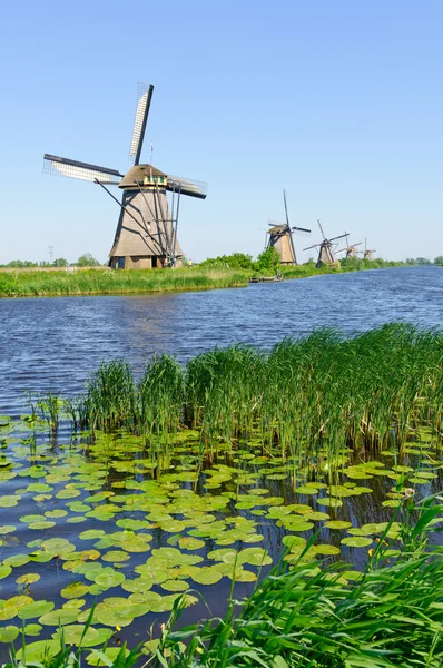 Mill Network at Kinderdijk-Elshout, Netherlands — Stock Photo, Image
