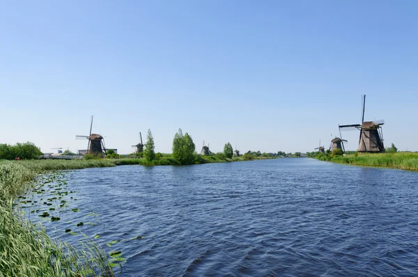 stock image Mill Network at Kinderdijk-Elshout, Netherlands