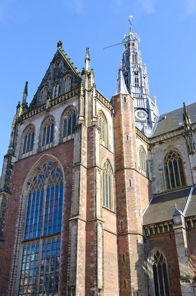 Grote kerk (st. bavokerk) v haarlem, Nizozemsko — Stock fotografie