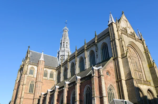 Grote kerk (st. bavokerk) in haarlem, niederland — Stockfoto