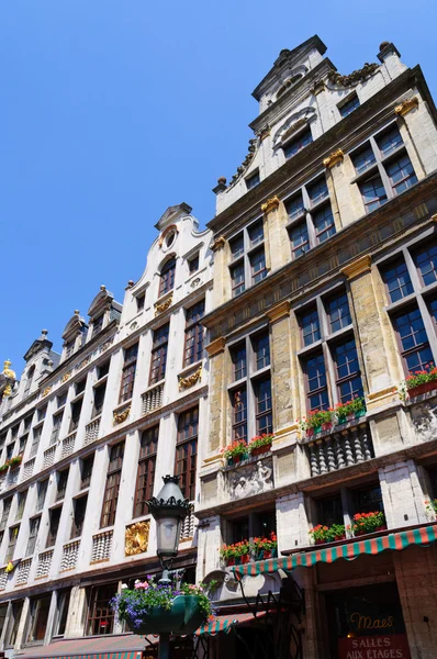 比利时布鲁塞尔的Grand Place — 图库照片
