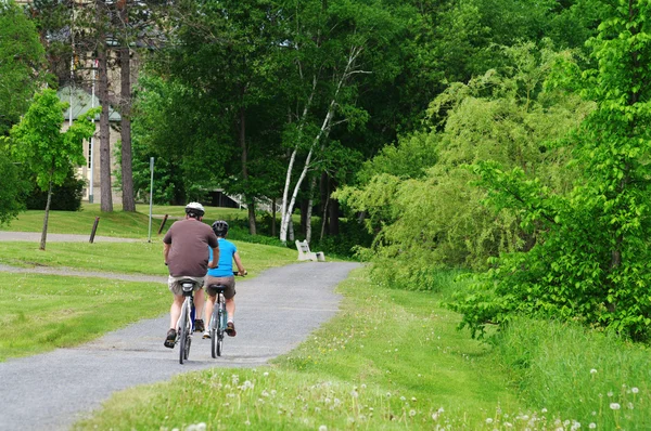 stock image Cyclist on a trail