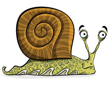 Funny cartoon snail, vector. clipart