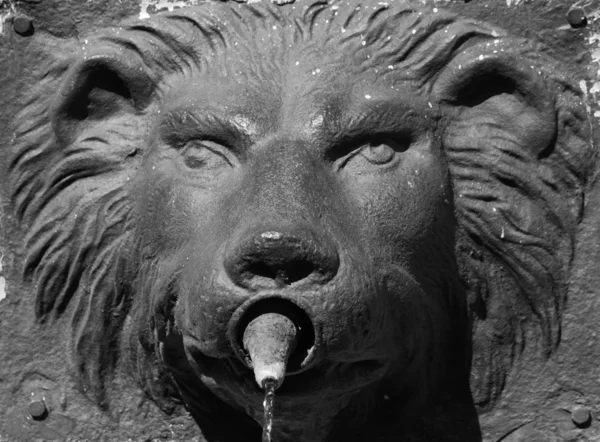 Escultura de um leão como símbolo de força e grandeza — Fotografia de Stock