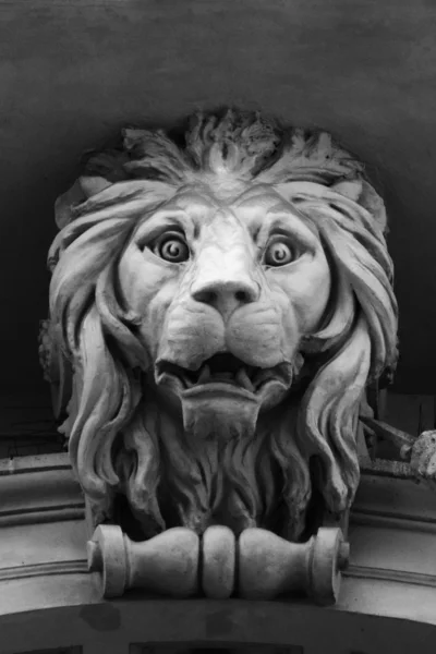 Gücü ve büyüklüğü bir sembolü olarak bir aslan heykeli — Stok fotoğraf