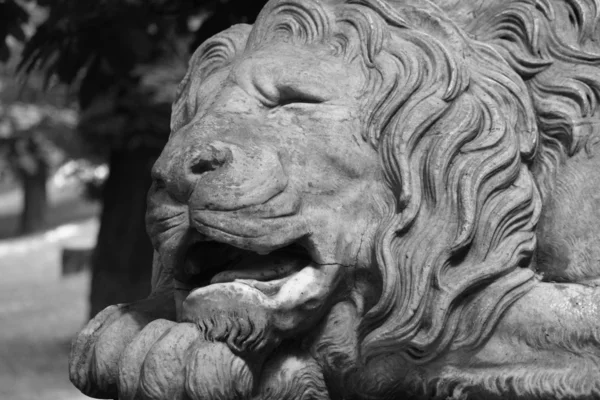 힘과 위대함의 상징으로 사자 조각 — 스톡 사진