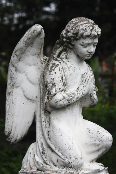 Фигура ангела — стоковое фото