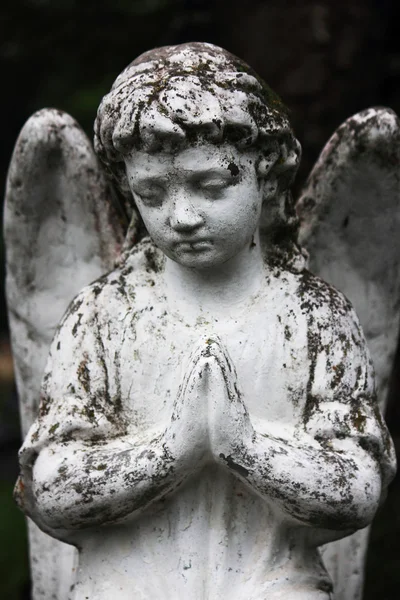 Figure Of Angel — Stock Photo, Image