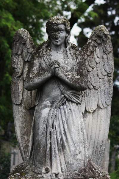 천사의 그림 — 스톡 사진