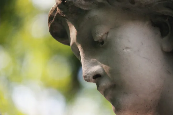 En kvinnes ansikt (statue ) – stockfoto