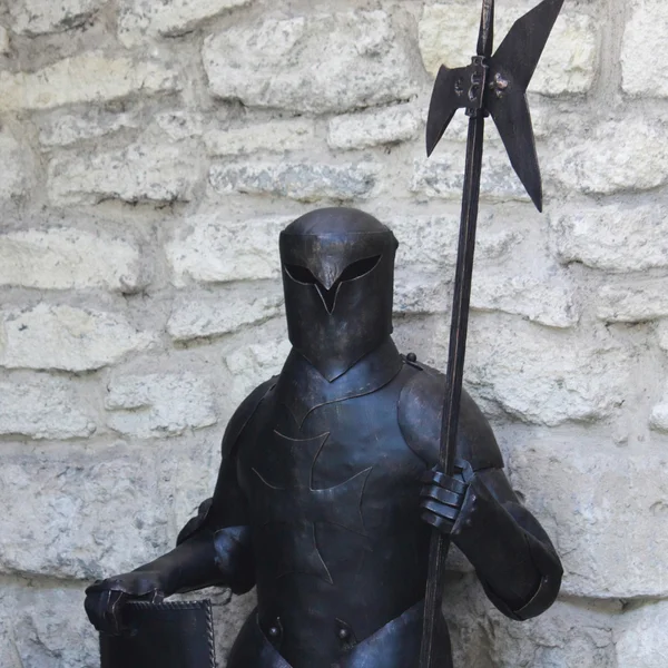 Μεσαιωνικός πολεμιστής — Φωτογραφία Αρχείου