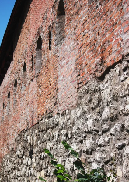 16 世纪城堡的废墟 — 图库照片
