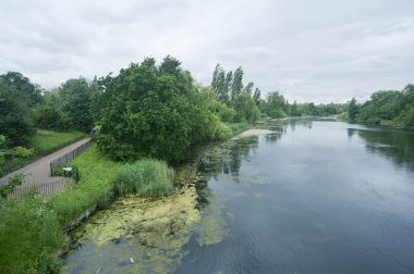 hyde park Londra'nın yılan gibi Gölü