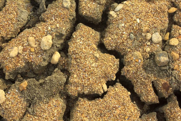Suché popraskané zemi v poušti — Stock fotografie