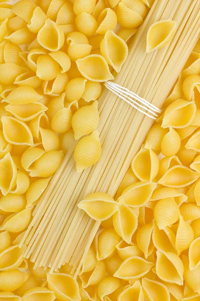 Pasta. — Stock Photo, Image