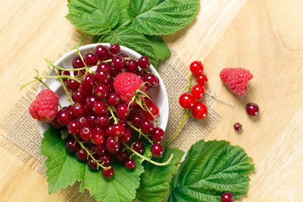 stock image Red currant and raspberry on the white bowl