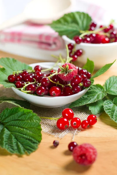 Red currant and raspberry on the glass bowl — Stock Photo, Image