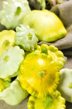 Patty Pan Squash