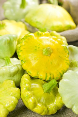 Patty Pan Squash